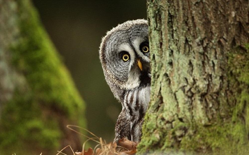 KET Speaking: Какой предлог использовать отвечая на вопрос 